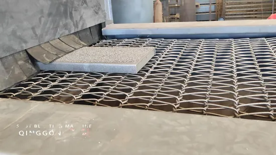Roller Conveying Steel Wire Mesh Belt Shot Blasting Machine